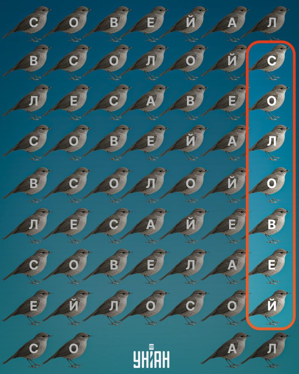 Колаж на Moje