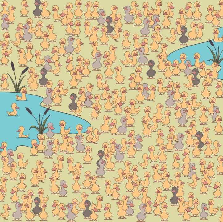 Мистерията и най-важното