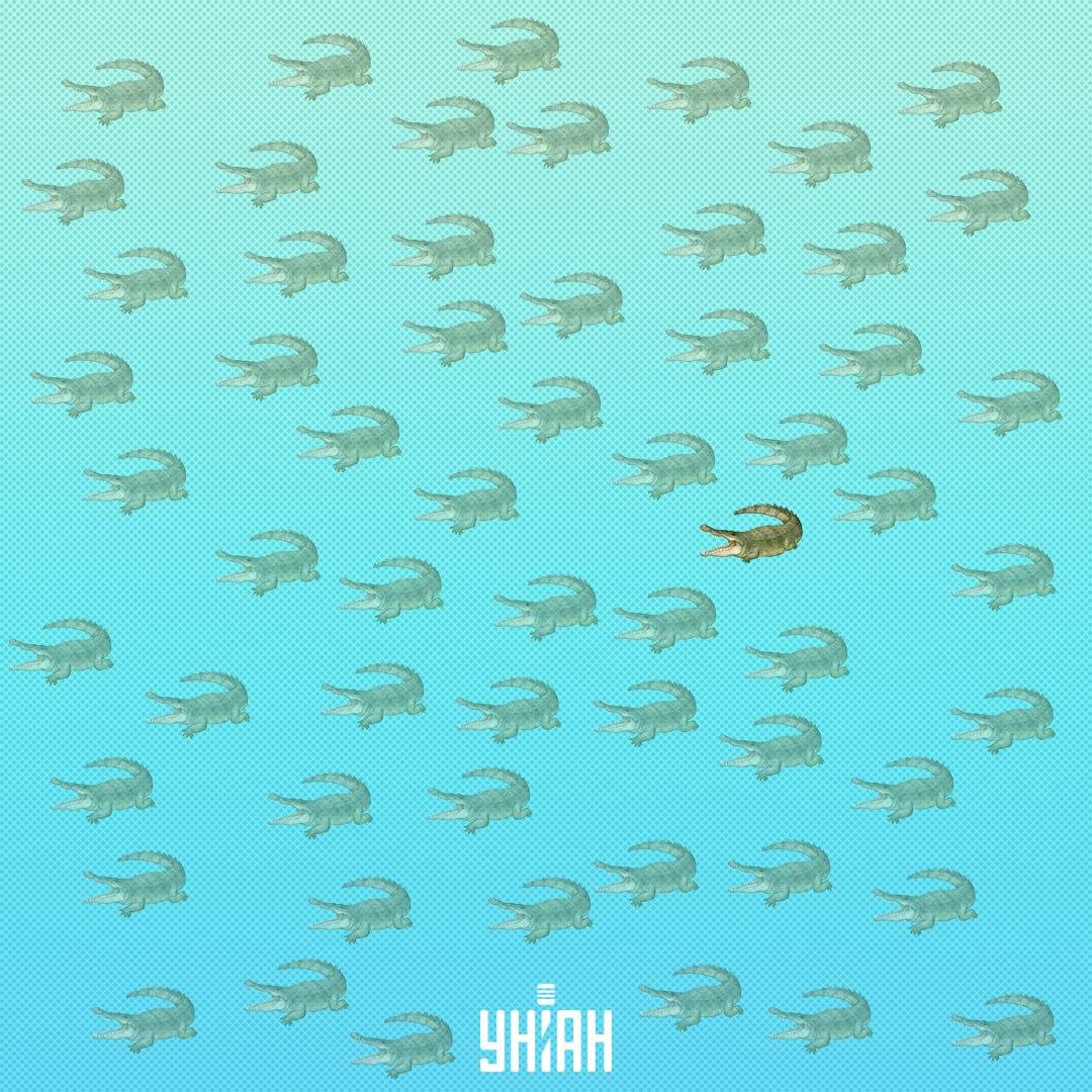 Той би трябвало да се намира по-близо до центъра, от дясната страна / Moje Collage