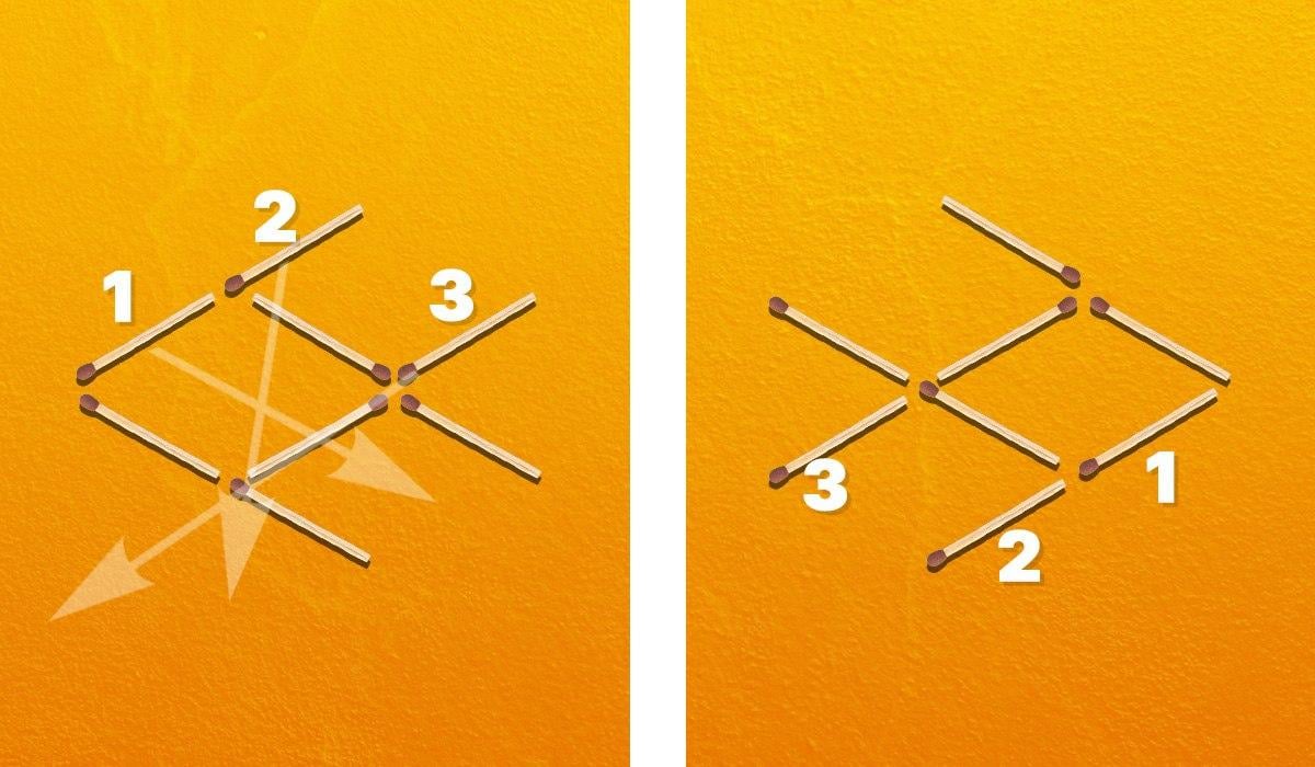 Трябва да преместите три съдинки, за да обърнете рибата надясно / колаж на Moje