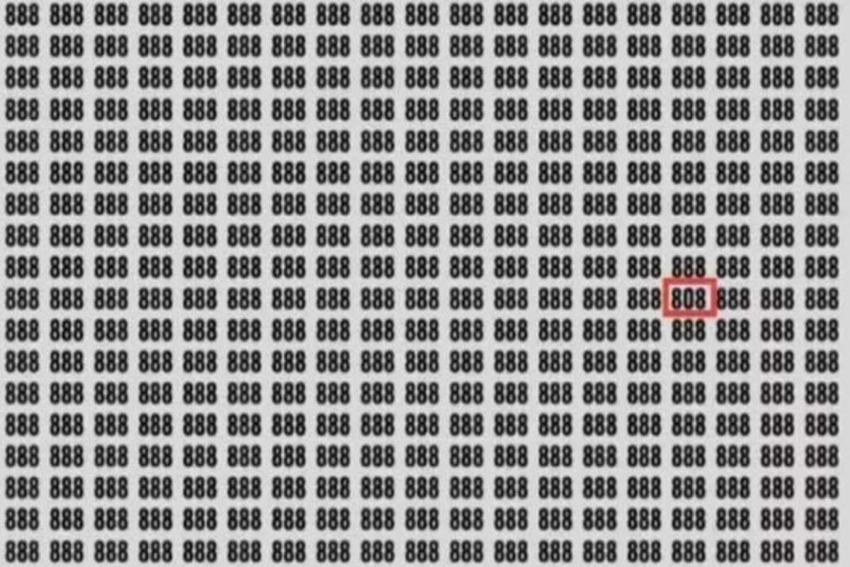 Отговорът на загадката / снимка: Джагран Джош