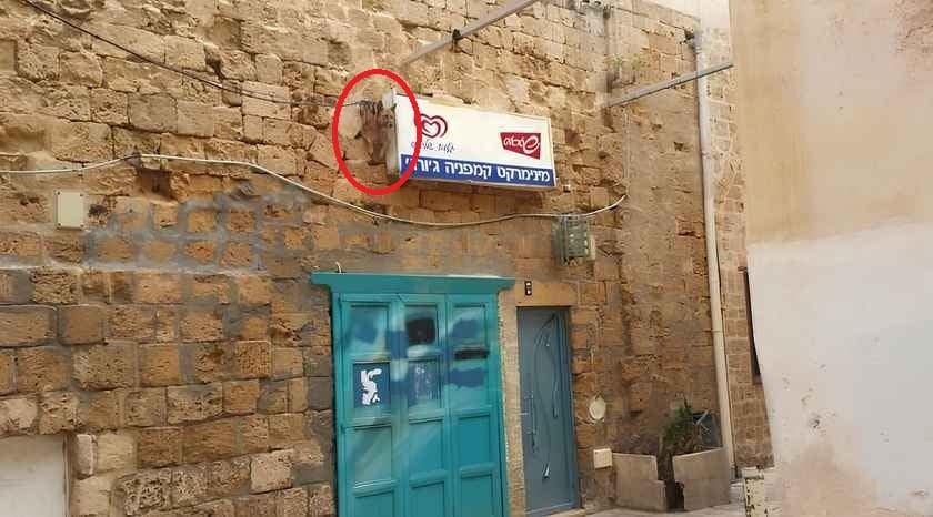 Оптична илюзия