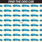 Можете да „счупите“ мозъка си: само гениите могат да решат