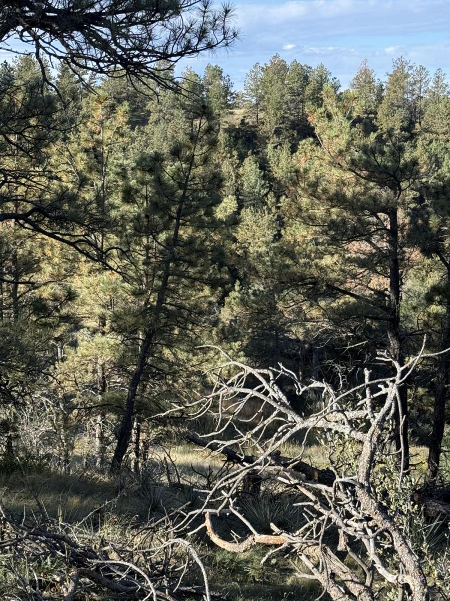 Снимка на екрана