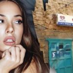 Само гений би открил куче на улицата за 7 секунди: сложна оптична илюзия Само гений би открил куче на улицата за 7 секунди: