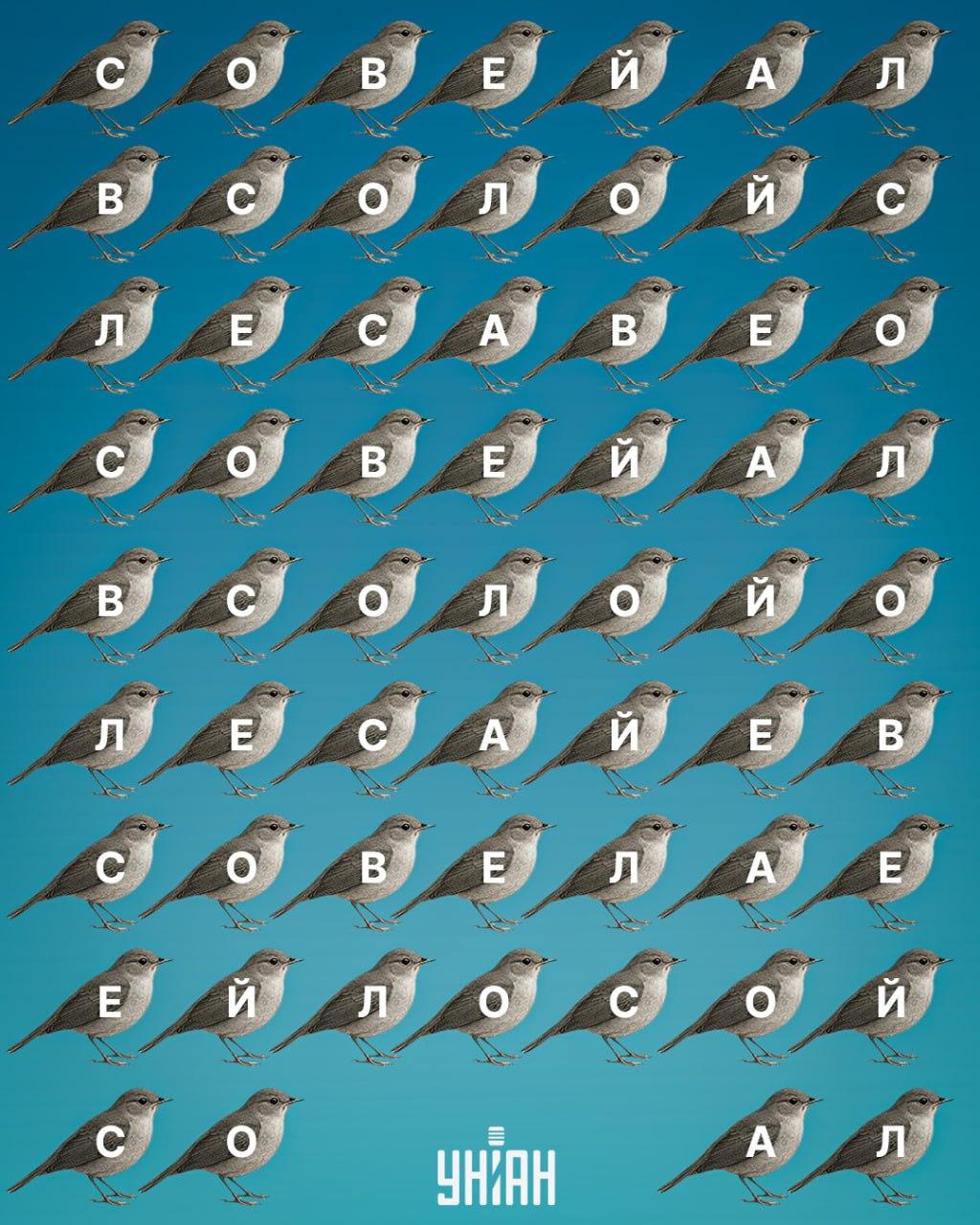 Колаж на Moje