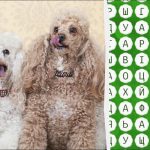 Трябва да имате очите на орел, за да откриете думата